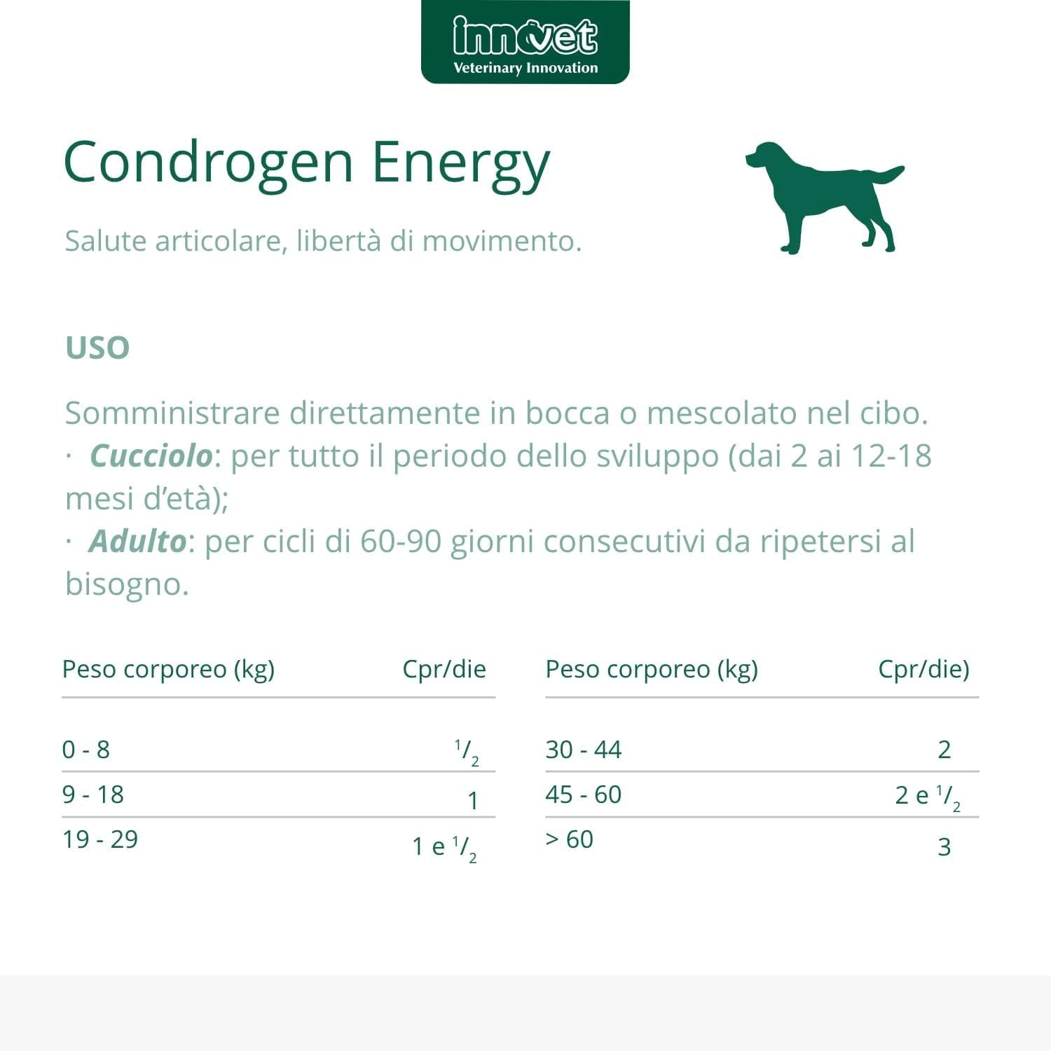 Condrogen Energy immagine 2