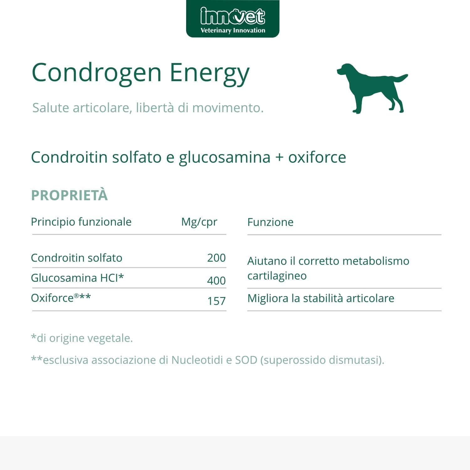 Condrogen Energy immagine 3