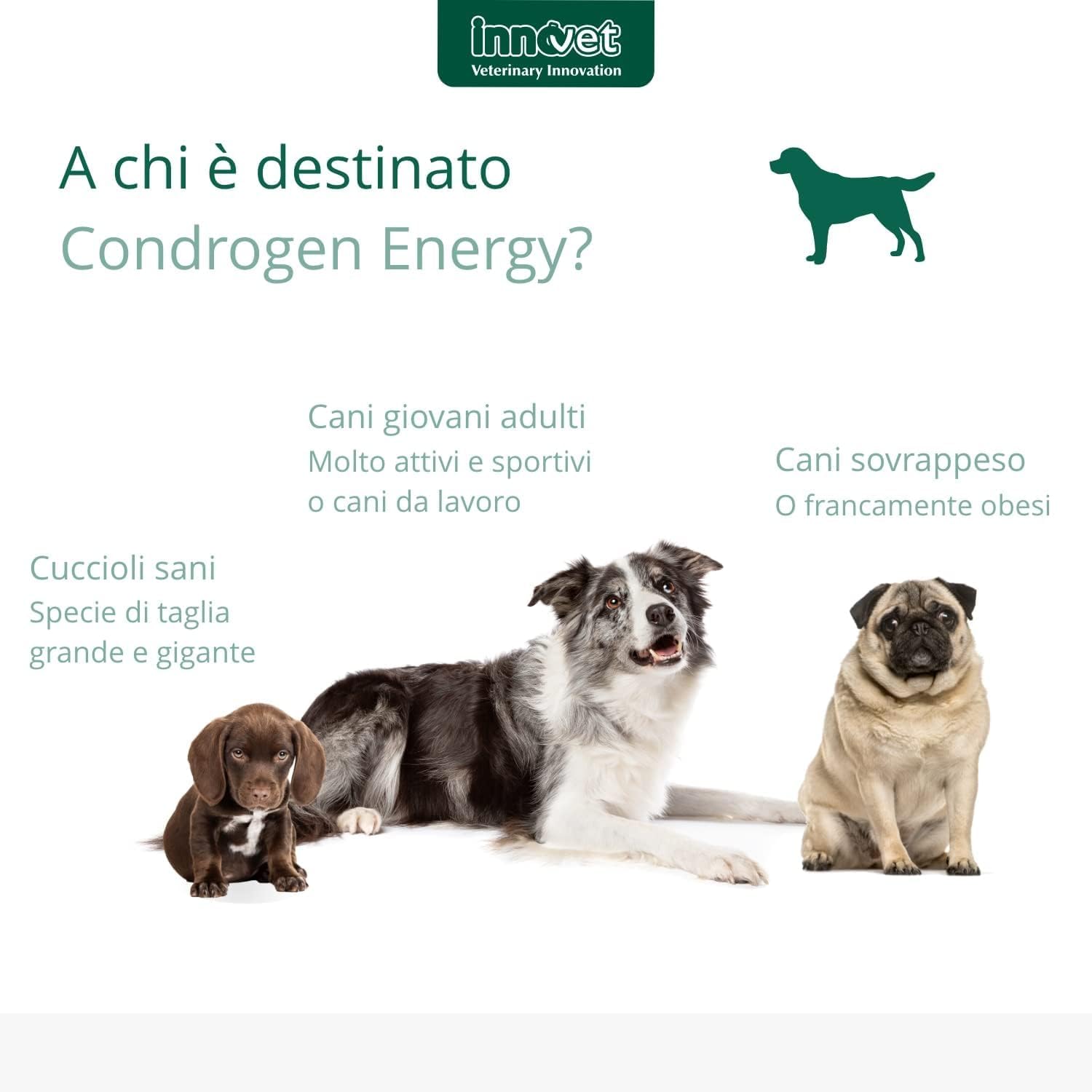 Condrogen Energy immagine 4