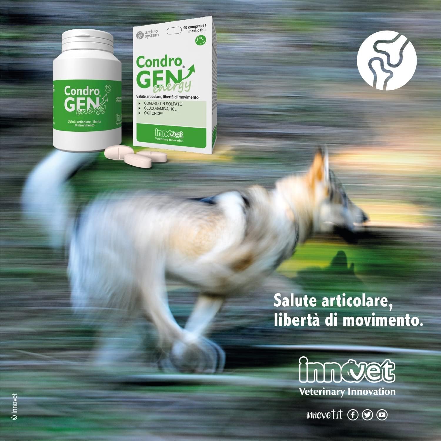 Condrogen Energy immagine 6