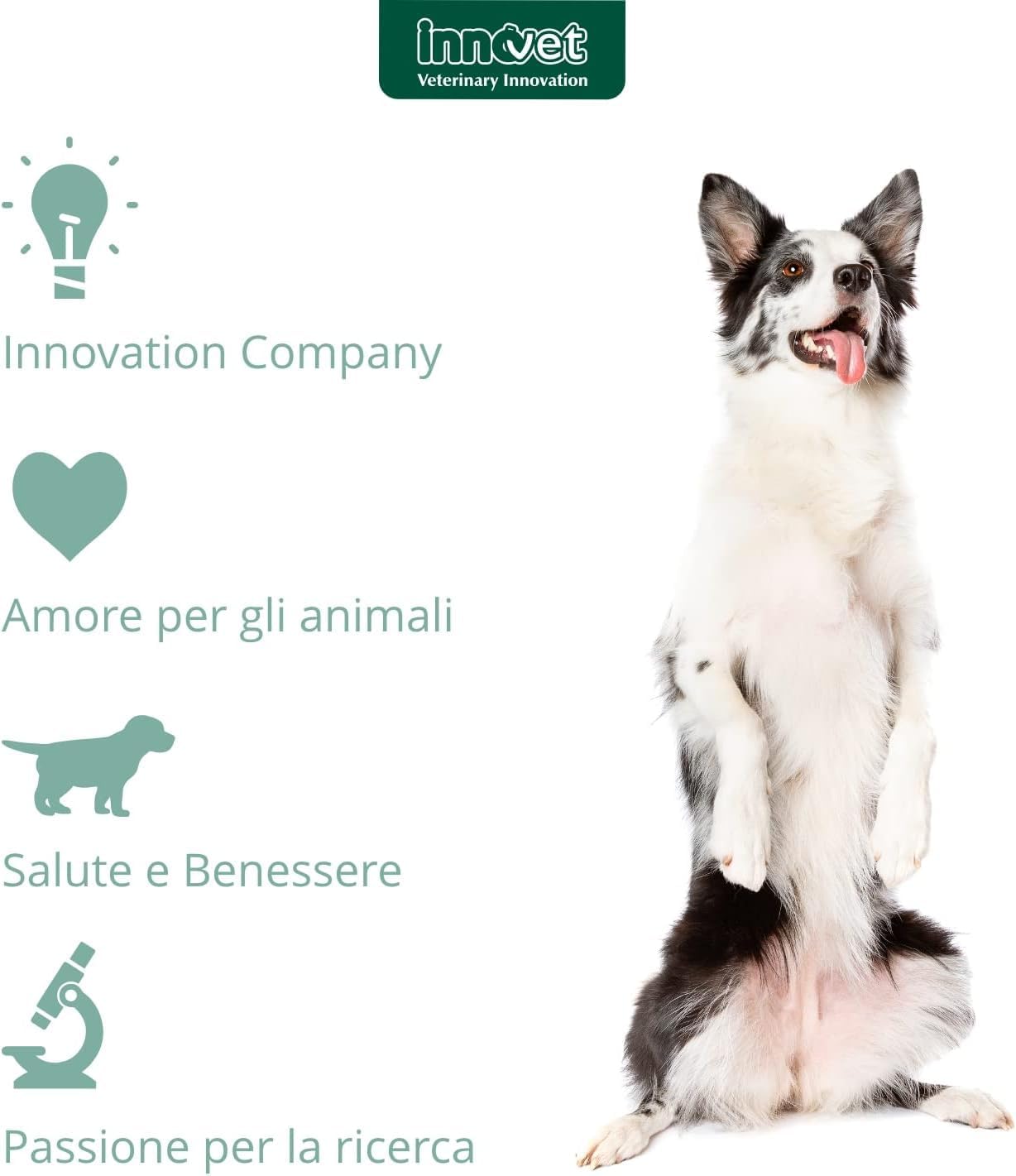 Condrogen Energy immagine 7