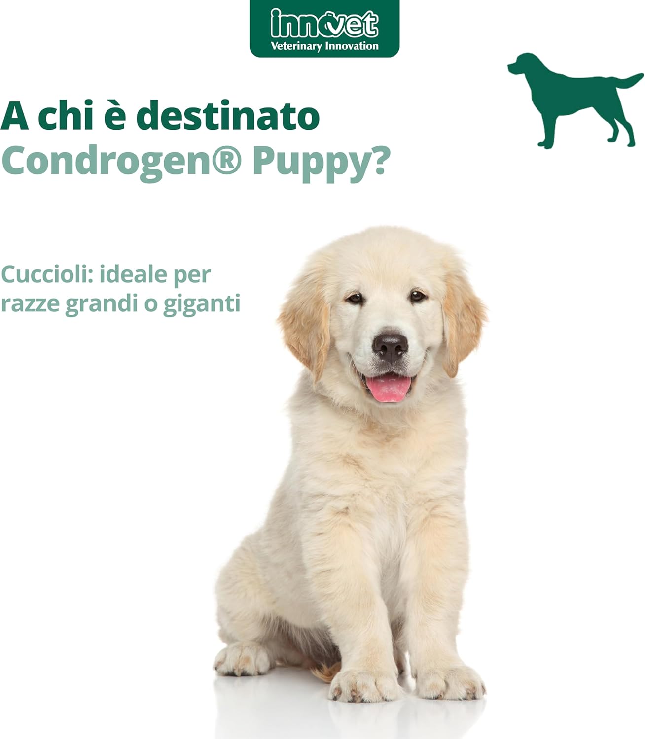 Condrogen Puppy immagine 4