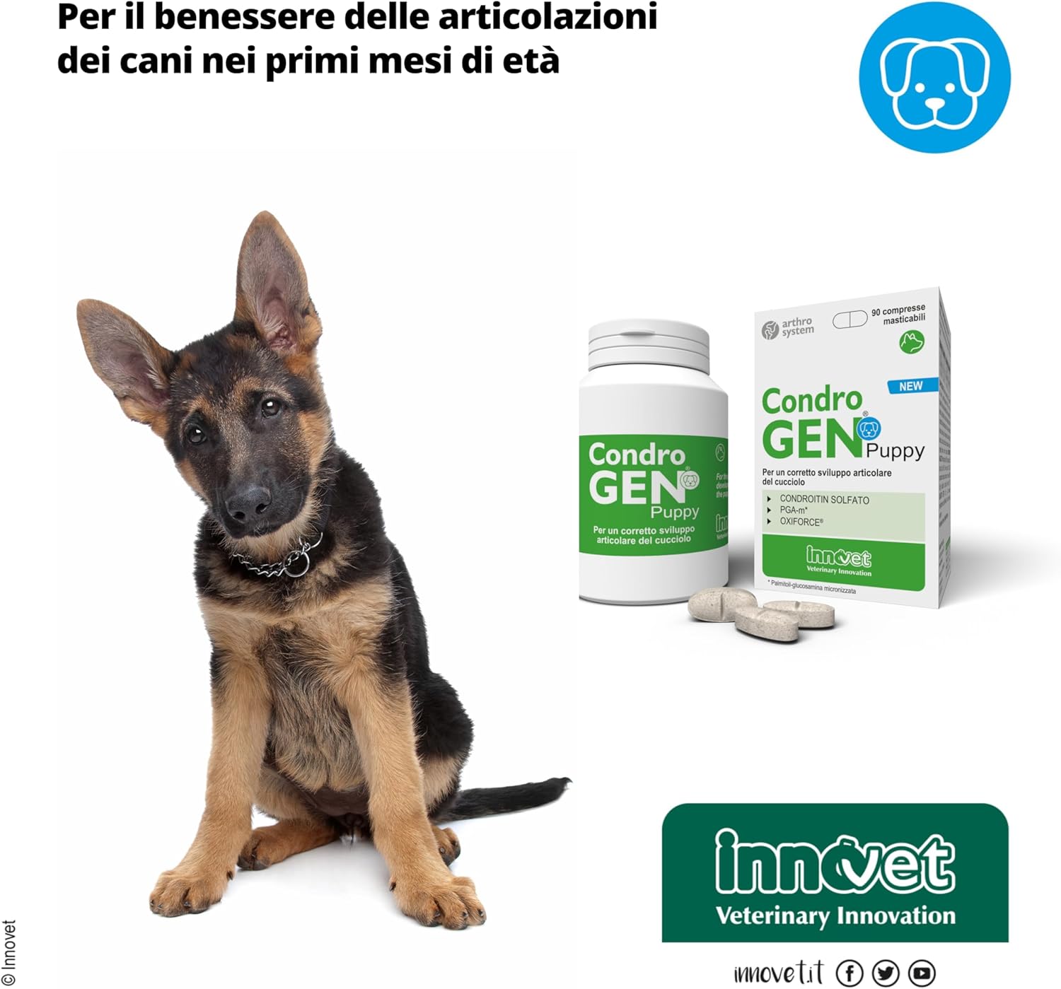 Condrogen Puppy immagine 6