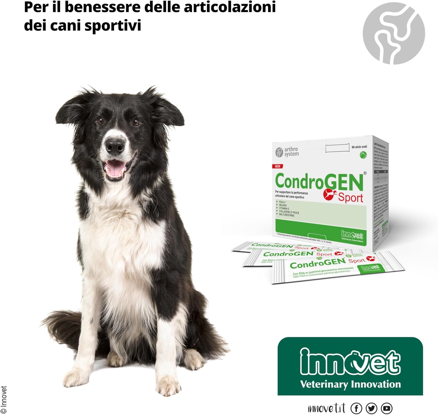 Condrogen Sport immagine 6