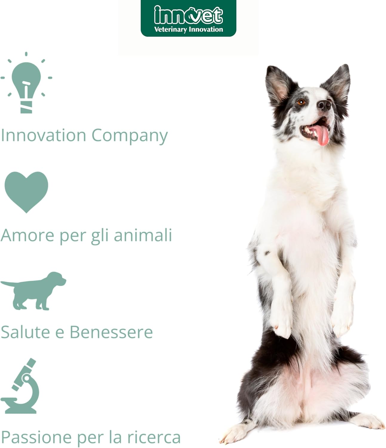 Condrogen Sport immagine 7
